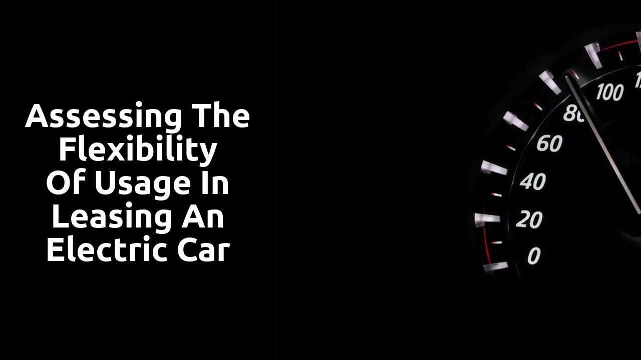 Assessing the Flexibility of Usage in Leasing an Electric Car